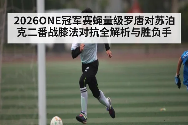 2026ONE冠军赛蝇量级罗唐对苏泊克二番战膝法对抗全解析与胜负手